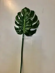 Split Monstera Leaf 75cm