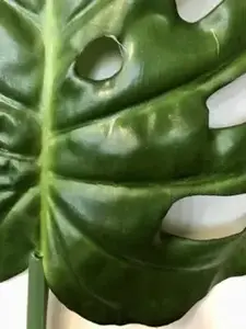 1. Split Monstera Leaf 75cm thumbnail