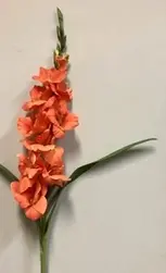 Gladiolus Flower 101cm Orange