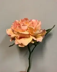 Short Stem Single Peony 31cm Apricot