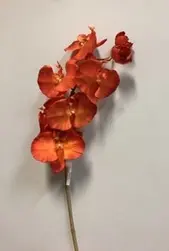 Phalaenopsis Orchid 70cm Orange