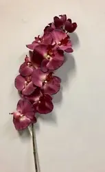 Tall Real Touch Phalaenopsis Orchid 102cm Purple/Magenta 