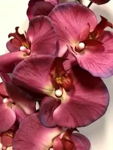 1. Tall Real Touch Phalaenopsis Orchid 102cm Purple/Magenta  thumbnail