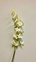 Vanda Dendrobium Orchid 95cm White