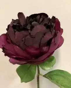 Short Stem Peony 33cm Plum