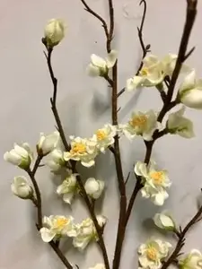 1. Tall Peach Blossom 118cm Cream Green thumbnail