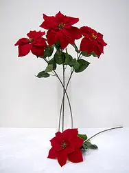 Single Poinsettia Red 64cm