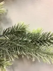 2. Snow Needle Pine Bush 39cm thumbnail