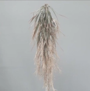 Hanging Dried Look Wheat Grass Bush 83cm Natural