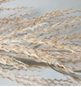 1. Hanging Dried Look Wheat Grass Bush 83cm Natural thumbnail