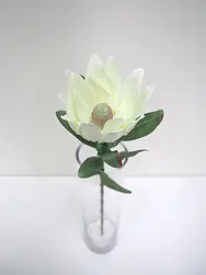 Leucadendron Flower 59cm White