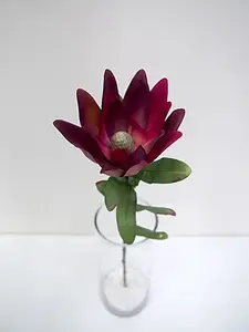 Leucadendron Flower 59cm Burgundy/Red