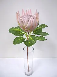 King Protea 74cm Pink