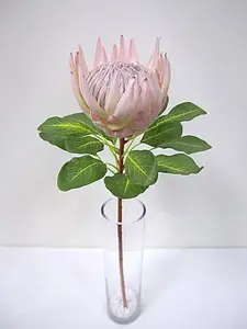1. King Protea Flower 73cm Pink thumbnail