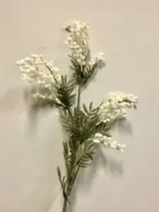 Australian Wattle Spray 85cm White
