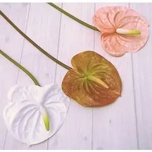Anthurium 58cm White, Pink or Brown