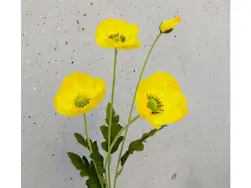 Poppy Spray 57cm Yellow