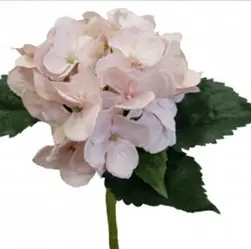 Classic Hydrangea 49cm Soft Pink