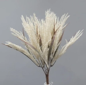 Wheat Grass Bush 25cm Cream