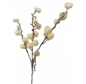 Tall Burdock Spray 80cm Cream