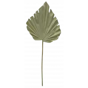 Palm Leaf 61cm Beige