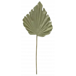 Palm Leaf 61cm Beige