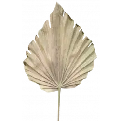 Palm Leaf 61cm Natural