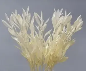 1. White Laurus Leaf Spray 75cm thumbnail