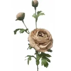 Ranunculus Spray 71cm Light Brown