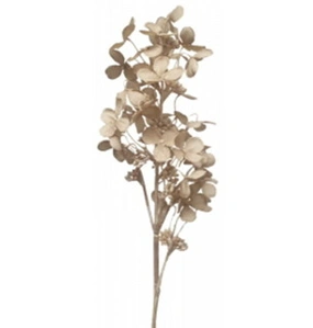 Cone Hydrangea 71cm Light Brown 