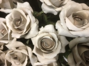 1. Ecuador Rose 67cm Dusty Beige thumbnail