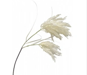 Pampas Grass 100cm Cream