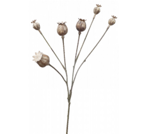Poppy Fruit Spray 69cm Natural