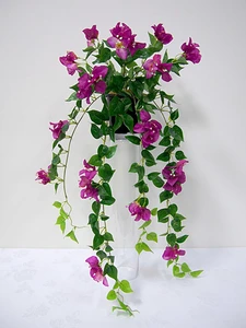 Bougainvillea Hanging Bush 81cm Purple