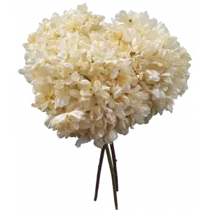 Dried Look Hydrangea Bundle x 3 56cm Cream