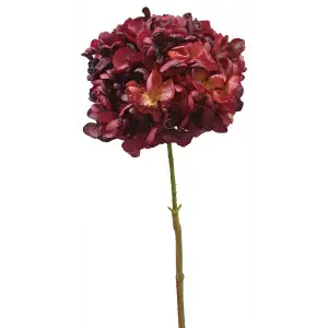 Dried Look Hydrangea 66cm Burgundy