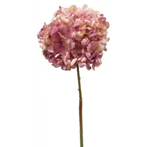 Dried Look Hydrangea 66cm Mauve