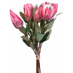 Protea Bundle x 6 52cm Dark Pink