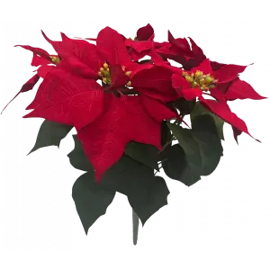 Poinsettia Bush x 5 Red 39cm