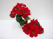 Poinsettia Bush x 5 flowers 35cm