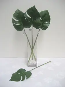 Split Philo Leaf