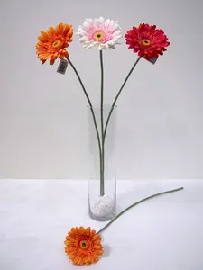 Gerbera 60cm