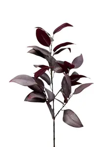 1. Broad Leaf Gum Spray 80cm Plum thumbnail