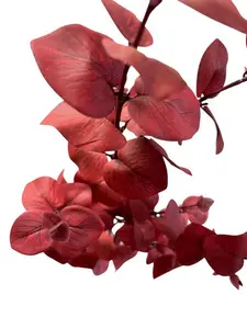 1. Tall Round Leaf Eucalyptus Gum Spray Red 106cm thumbnail