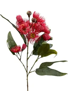 Eucalyptus Gum Flower Spray 76cm Red