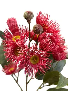 1. Eucalyptus Gum Flower Spray 76cm Red thumbnail