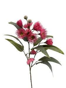Eucalyptus Gum Flower Spray 76cm Pink