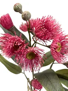 1. Eucalyptus Gum Flower Spray 76cm Pink thumbnail