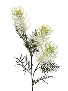 Grevillea Spray 85cm White