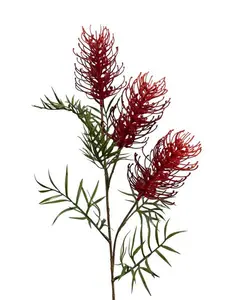 Grevillea Spray 85cm Red